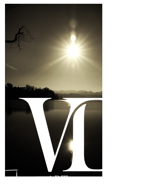 virginie-damotte-artiste-photo-paysage-landes